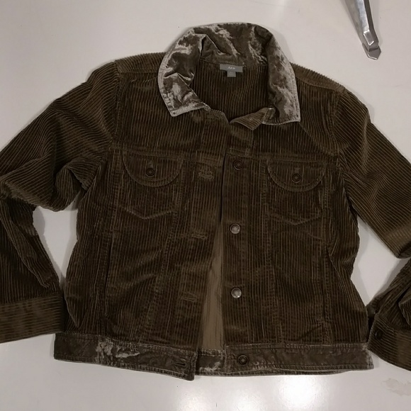 Wide Wale Corduroy Jacket Drab Olive Moss J Jill Velvet Soft Neutral 39" Bust SP - Picture 7 of 8